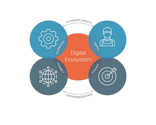 Digital Ecosystem